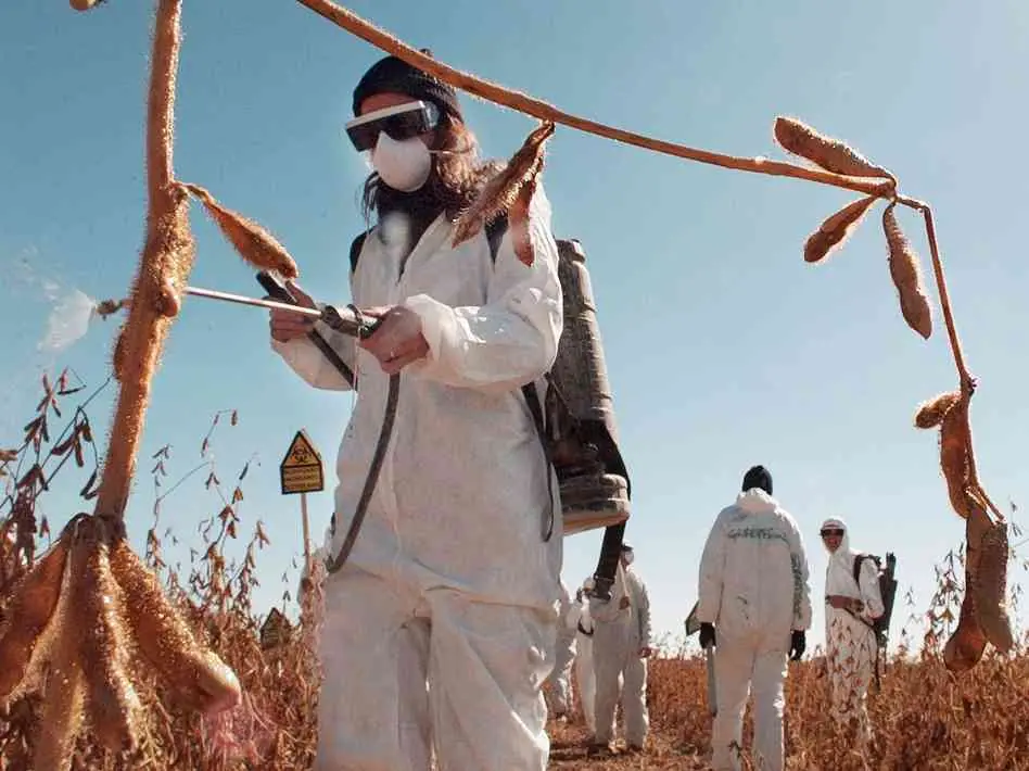 monsanto