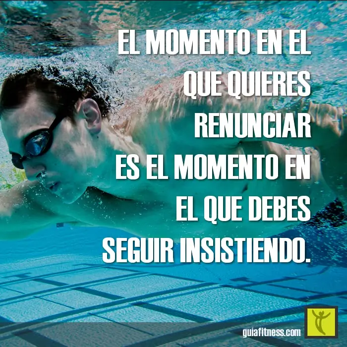 vida nueva