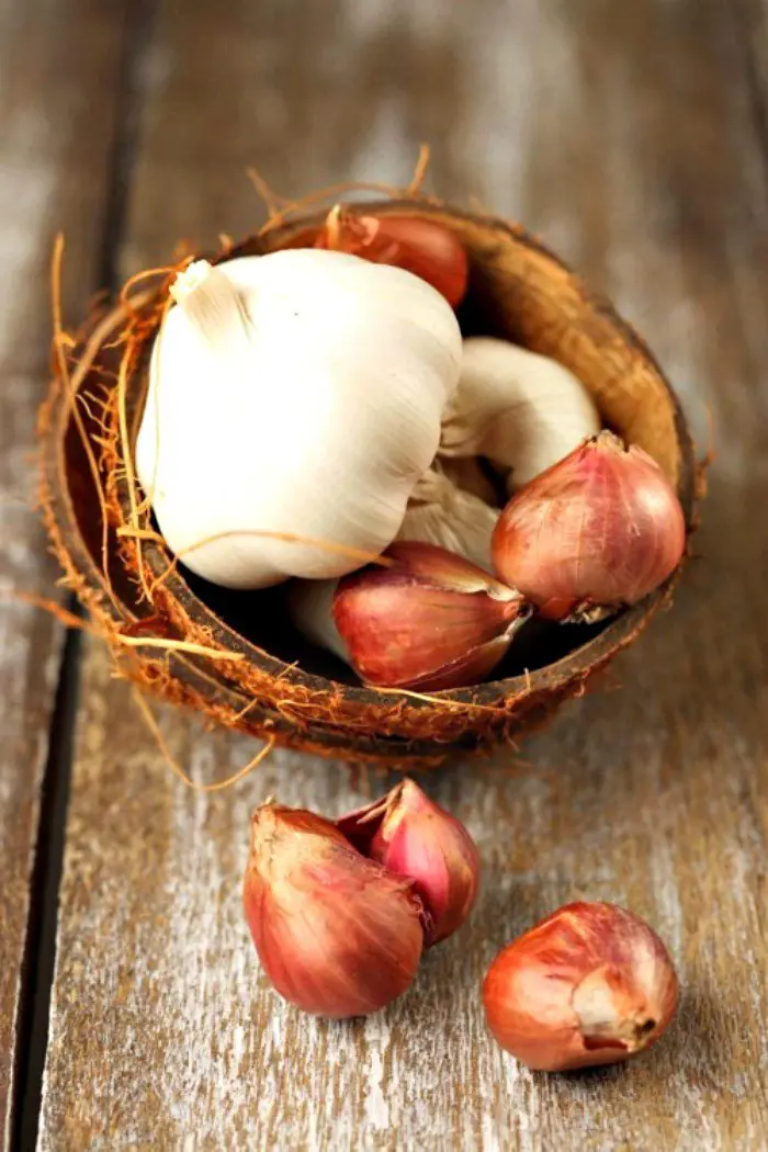 Antibióticos naturales.