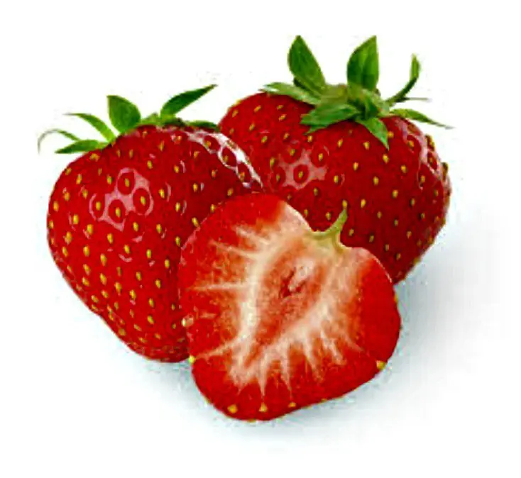 CEBOLLA