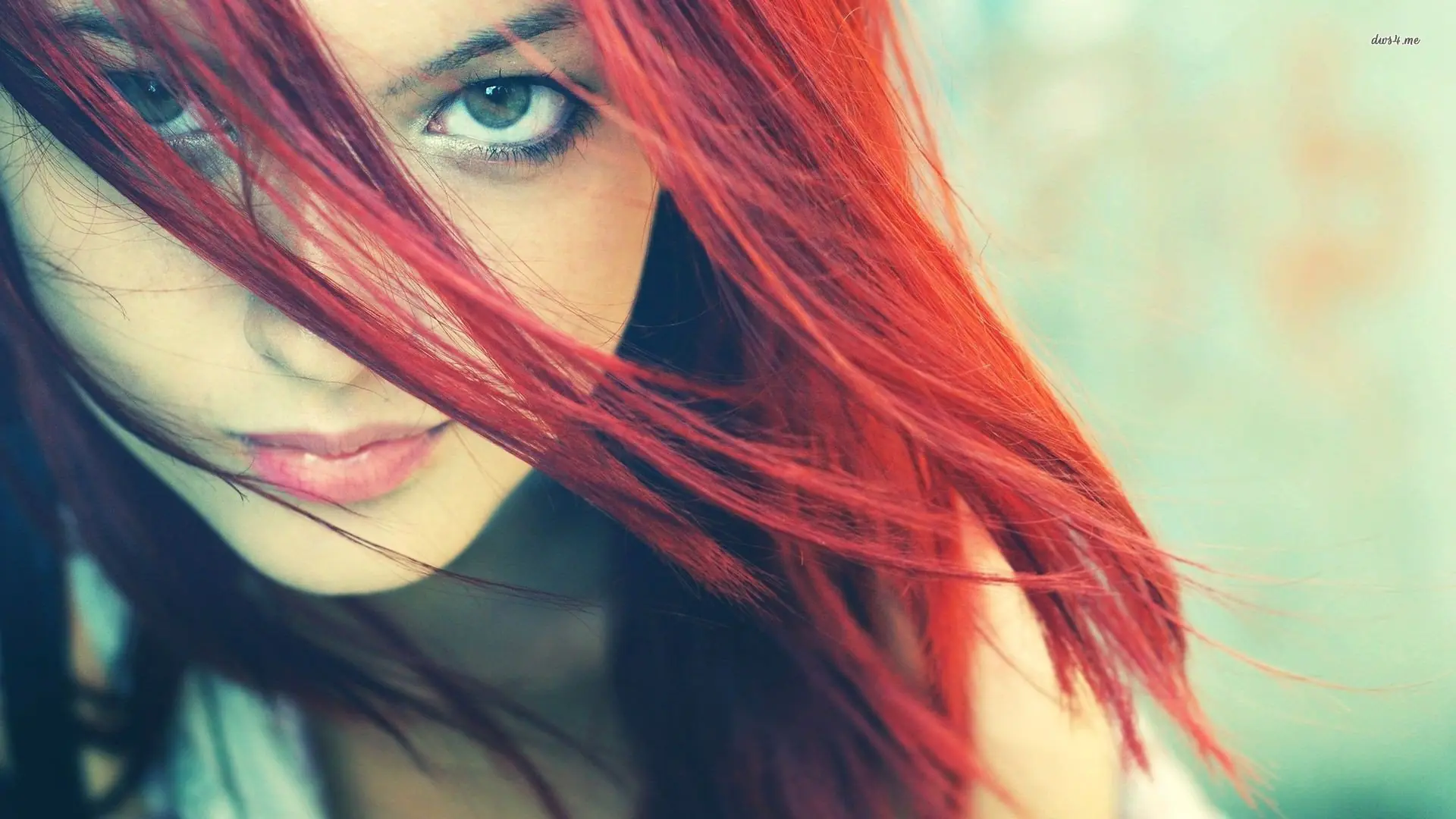 programas gratis