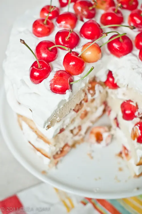 Cómo Fotografiar Tartas, Muffins Y Bollos
