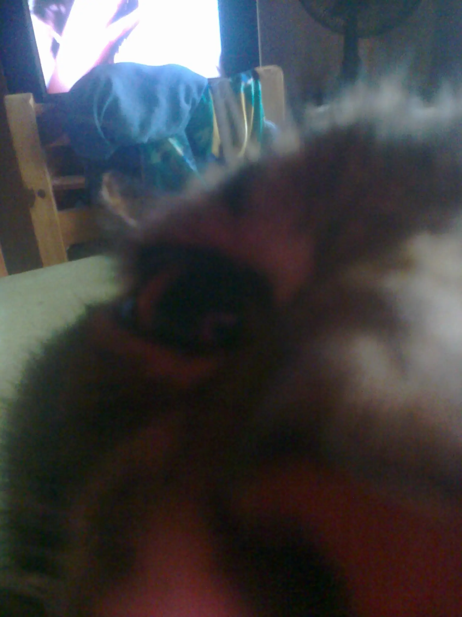 retard
