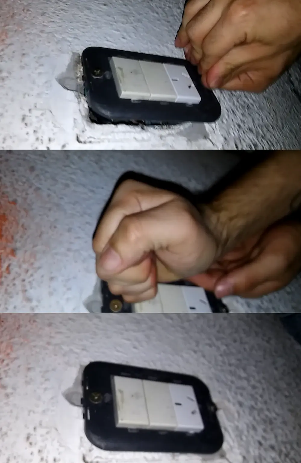 propio propio