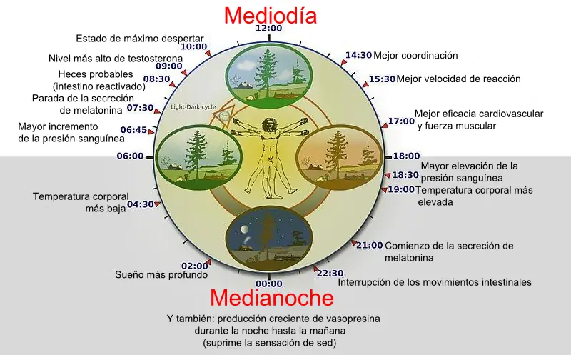 Programa tu Mente ¡Sin Esfuerzo y de forma Automática!