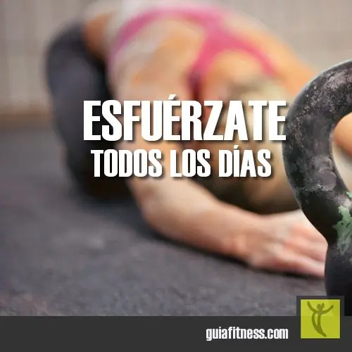 vida nueva