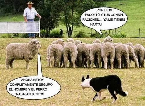 Ranking de conspiralocos de la internet