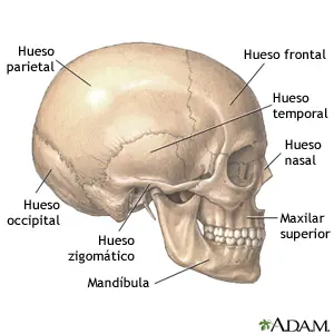 Te cuento mi ScorpioHistoria en un post