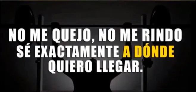 vida nueva