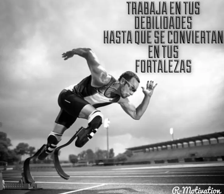 vida nueva