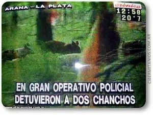 cronica en vivo