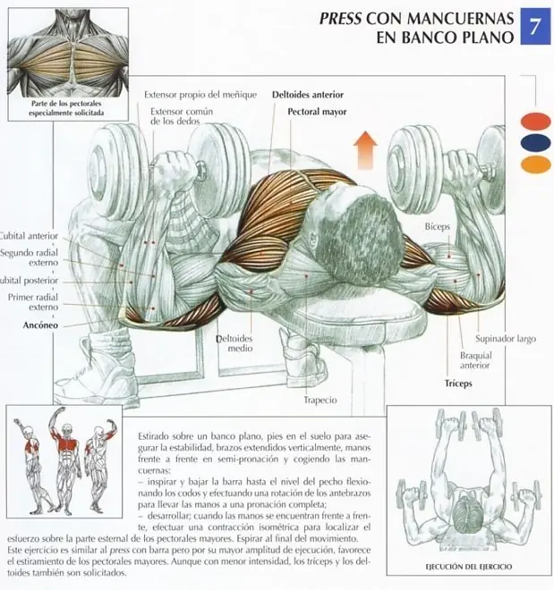 Ejercicios para Pecho - Ganar Volumen en Pectorales
