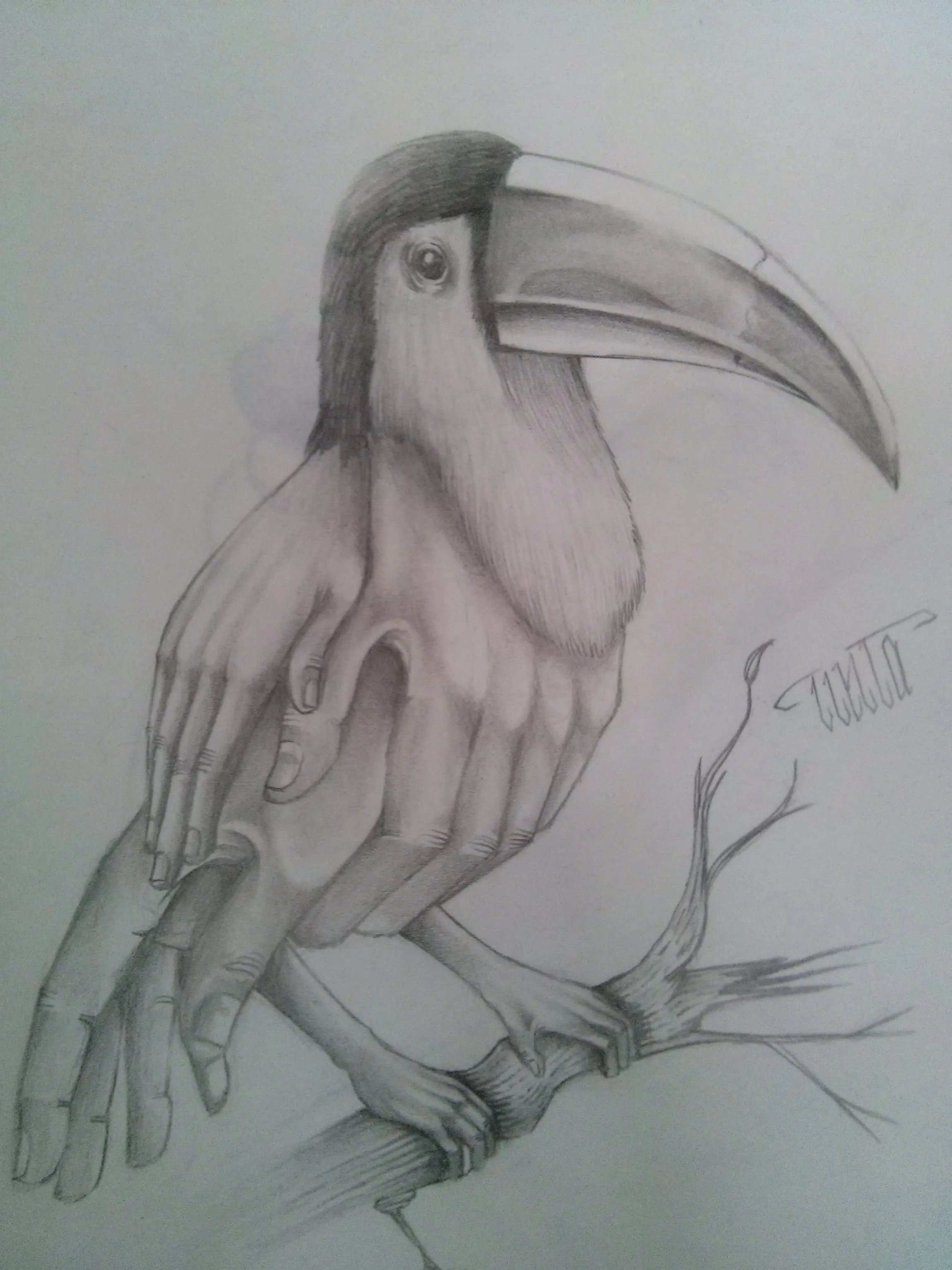 Pencil