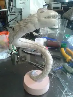 serpiente dragon