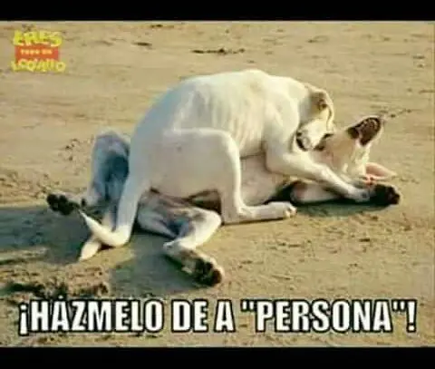 cagarte de risa