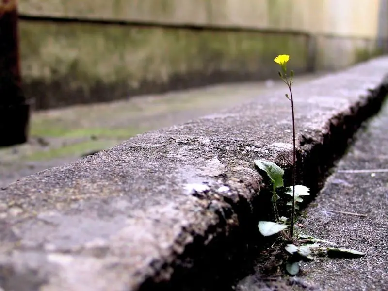 25 Cosas que hacen las personas mentalmente fuertes