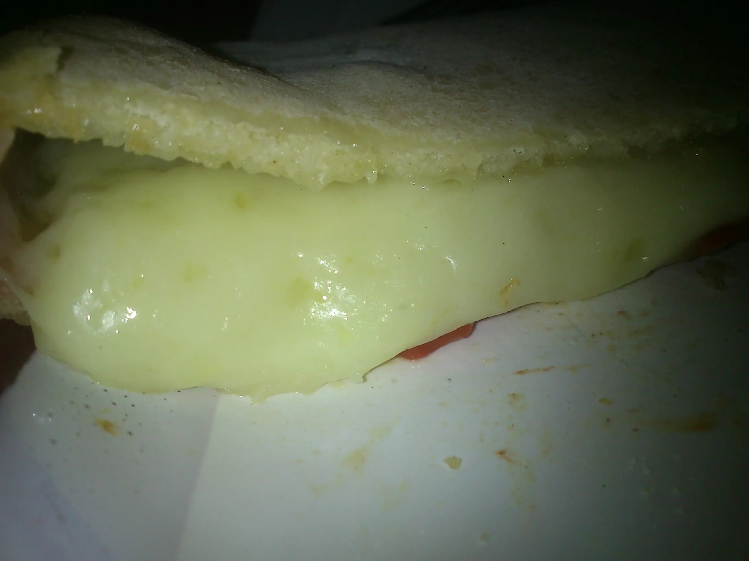 calzone