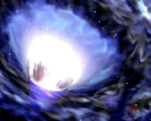 cosmos