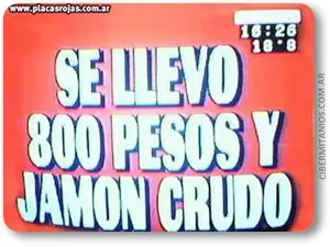 reite