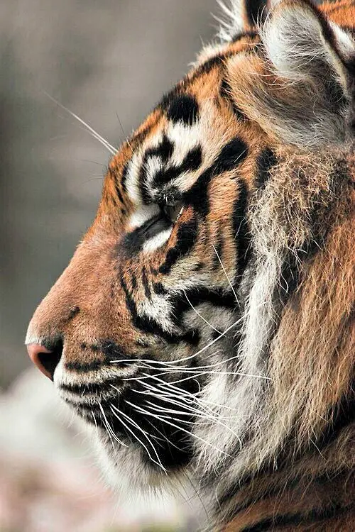 25 Cosas que hacen las personas mentalmente fuertes