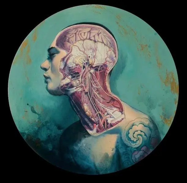 Anatomia Anatomia