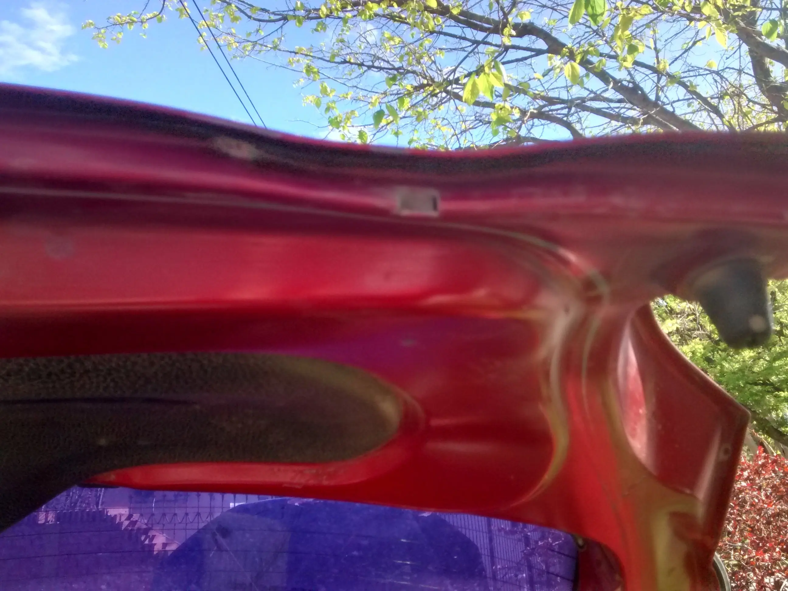 restauracion