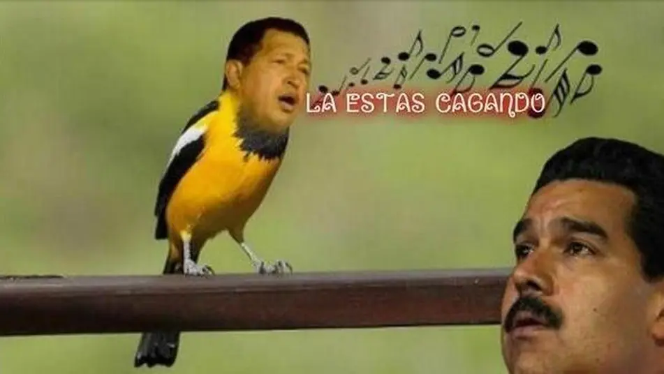maduro