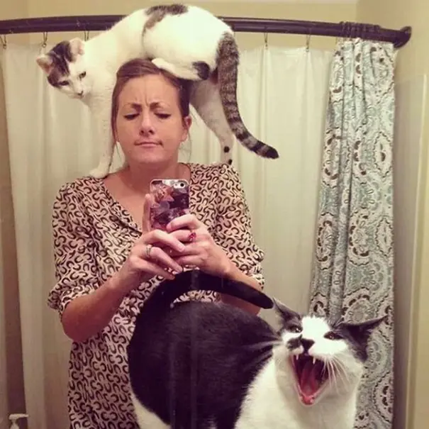 importa