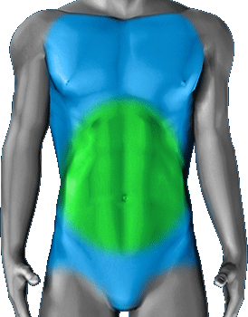 en forma