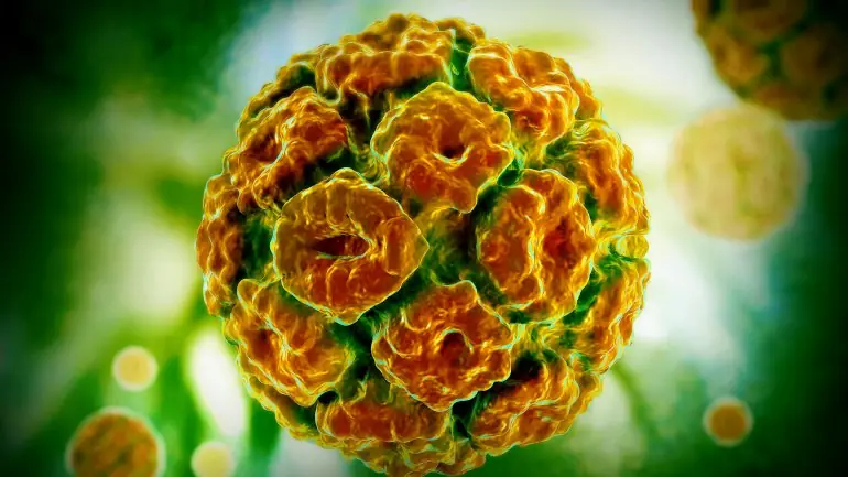 Los tres tipos de cáncer que afectan a los argentinos