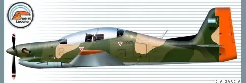 Aviones de combate de la Fuerza Aérea Argentina