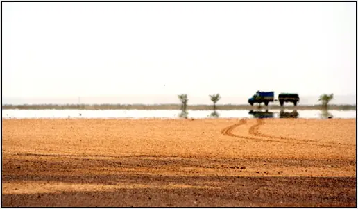 desiertos