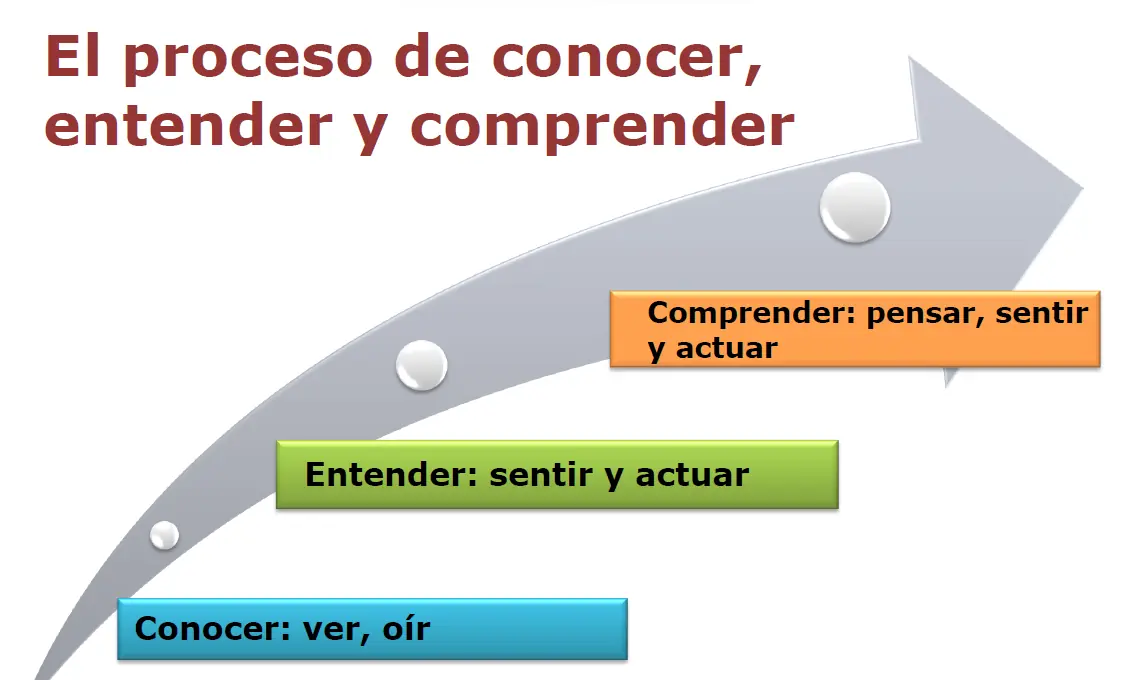 cerebro