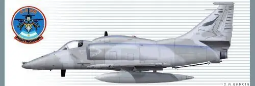 Aviones de combate de la Fuerza Aérea Argentina