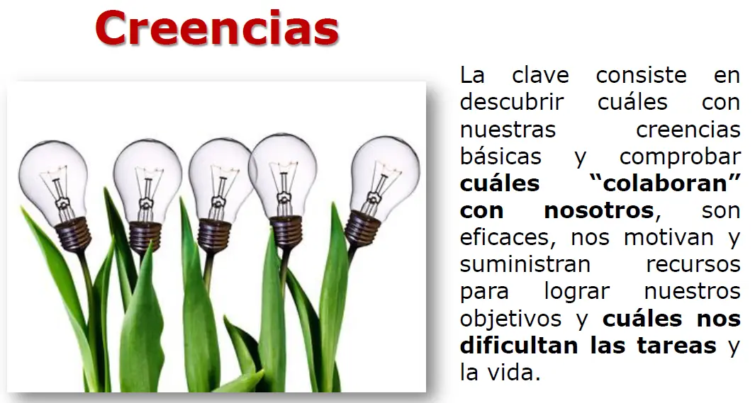 metas