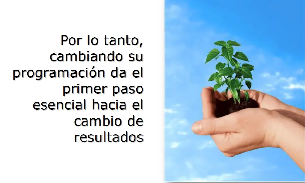 pnl