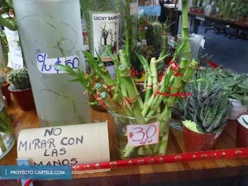 carteles carteles
