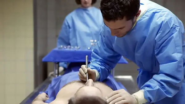 Formas en que puedes ayudar a detener el maltrato animal