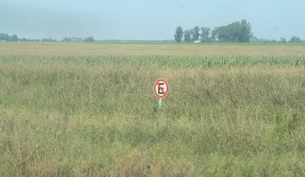 carteles carteles