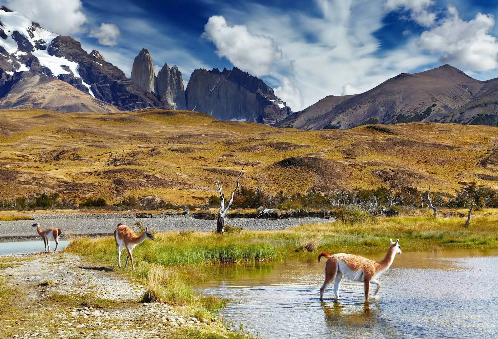peru