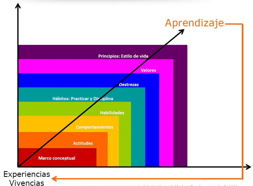 cerebro