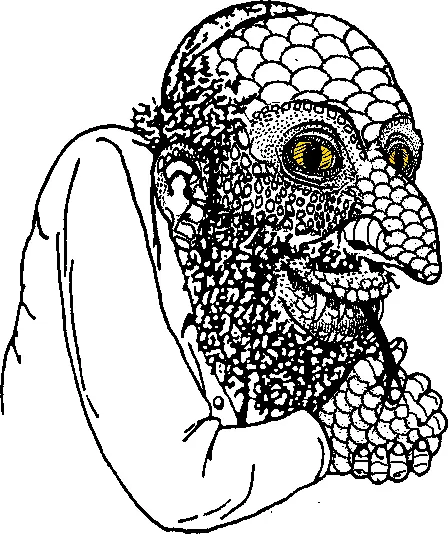 Happy merchant origen, y varios memes