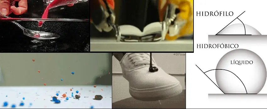 ciencia