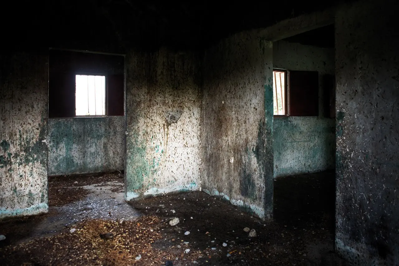 taringa paranormal taringa paranormal