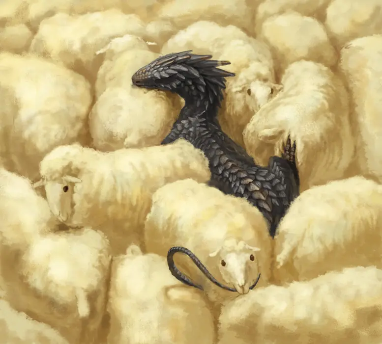 ilustraciones ilustraciones