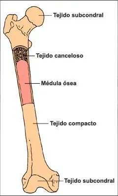crecimiento crecimiento