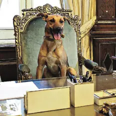 macri