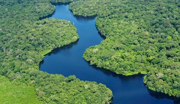 El Amazonas se esta convirtiendo en una sabana