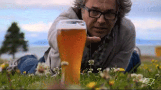 cerveza