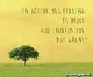 alegria